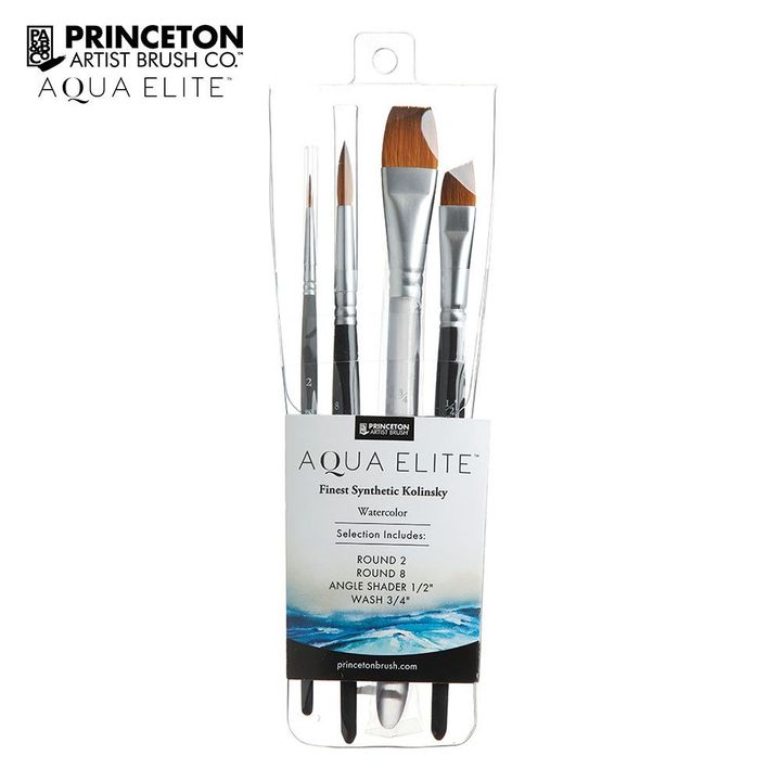 p4850set400-princeton-aqua-elite-pro-4-piece-set-wallet__preview